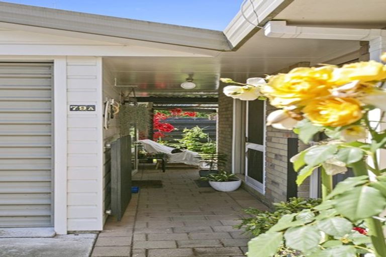 Photo of property in 79a Grey Street, Cambridge, 3434