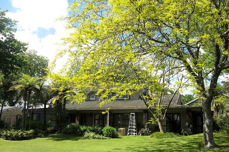 Photo of property in 73 Princes Street, Cambridge, 3434