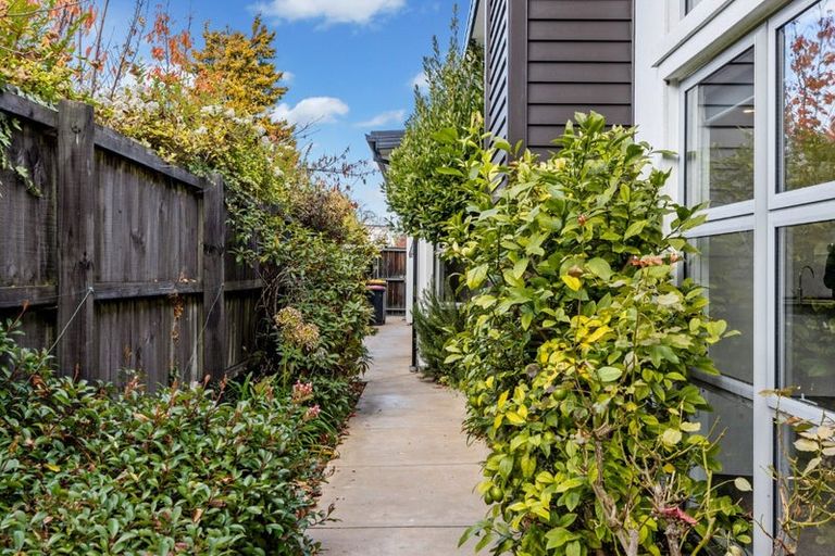 Photo of property in 123 Heaton Street, Merivale, Christchurch, 8052