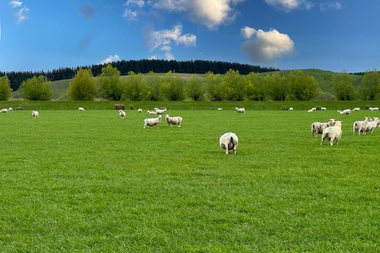 Photo of property in 47 Oopunga Road, Pukekohe, 2120