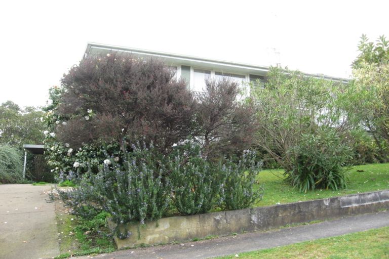 Photo of property in 105 Herewaka Street, Thames, 3500