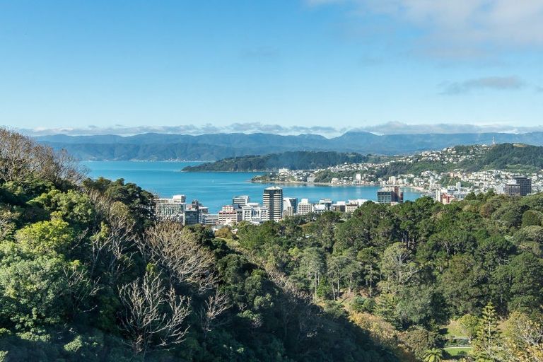 Photo of property in 64a Orangi Kaupapa Road, Northland, Wellington, 6012