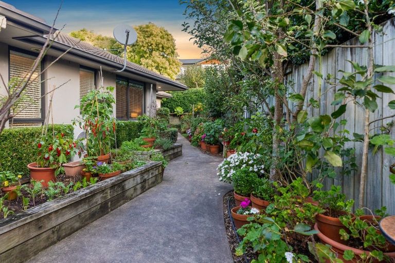 Photo of property in 53 Rexford Heights, Pyes Pa, Tauranga, 3112