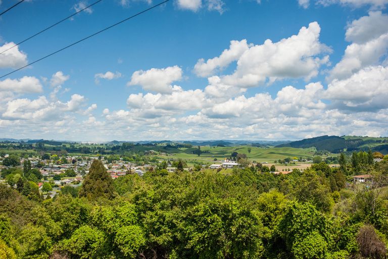 Photo of property in 66 Mountain View Road, Otorohanga, 3900