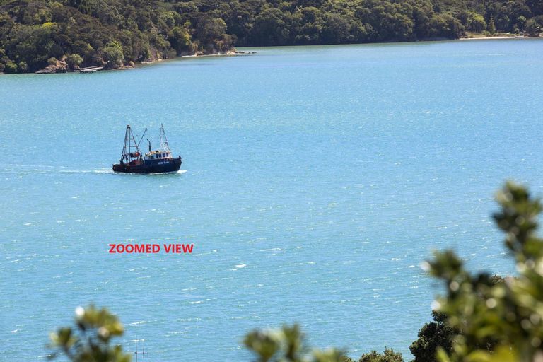 Photo of property in 17 Rose Street, Raglan, 3225