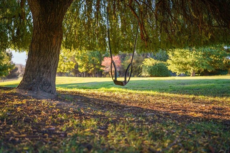 Photo of property in 355 Ballantyne Road, Wanaka, 9382