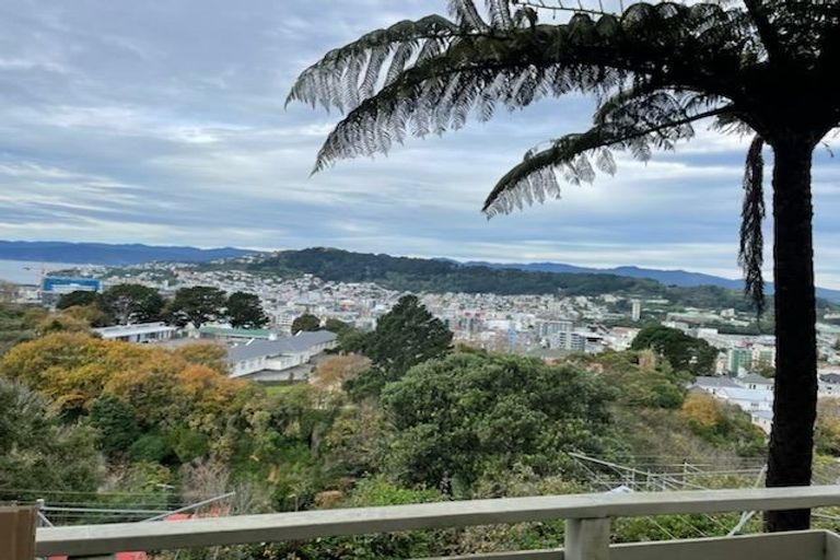 Photo of property in 5/60 Fairlie Terrace, Kelburn, Wellington, 6021
