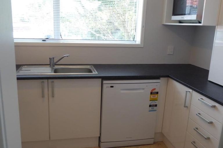 Photo of property in 175f1 Mitchell Street, Brooklyn, Wellington, 6021