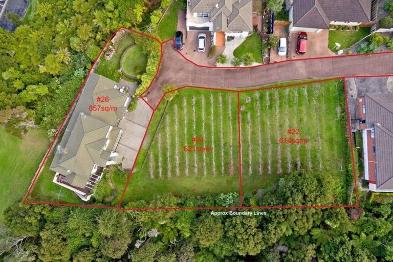 Photo of property in 22 Lorikeet Place, Unsworth Heights, Auckland, 0632