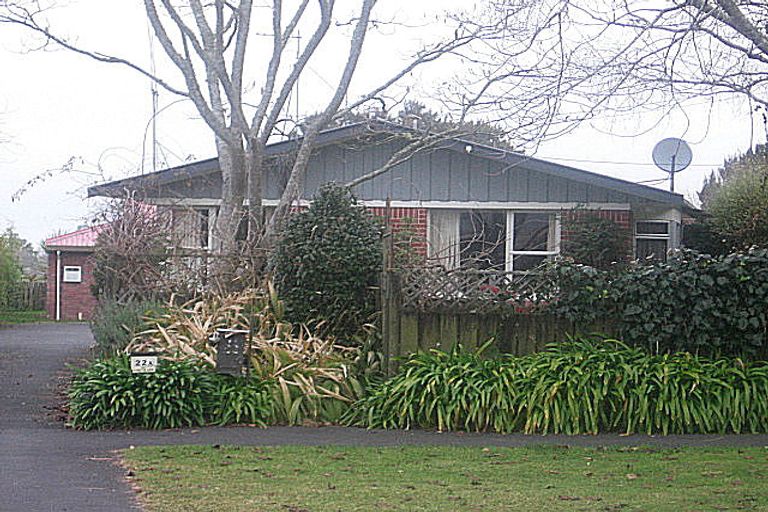 Photo of property in 22 Donny Avenue, Chartwell, Hamilton, 3210