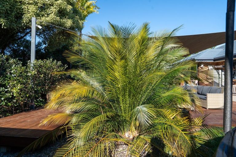 Photo of property in 109 Totara View Road, Wakefield, 7095