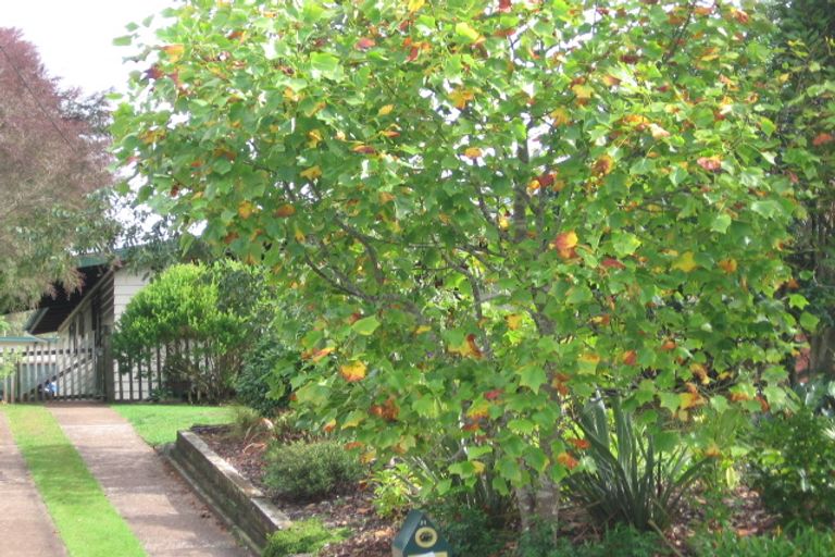 Photo of property in 21 Derwent Crescent, Titirangi, Auckland, 0604