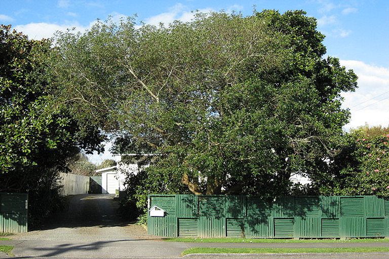 Photo of property in 75 Tutaenui Road, Marton, 4710