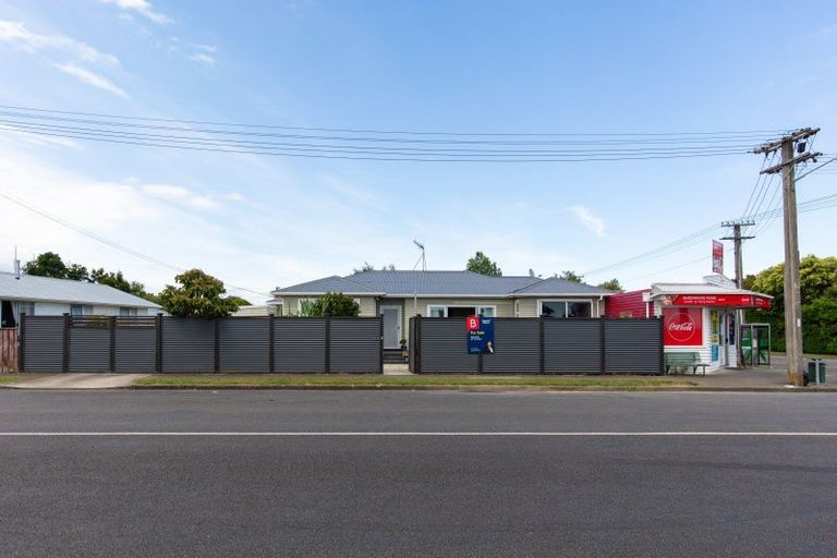 Photo of property in 2 Middlesex Street, Levin, 5510