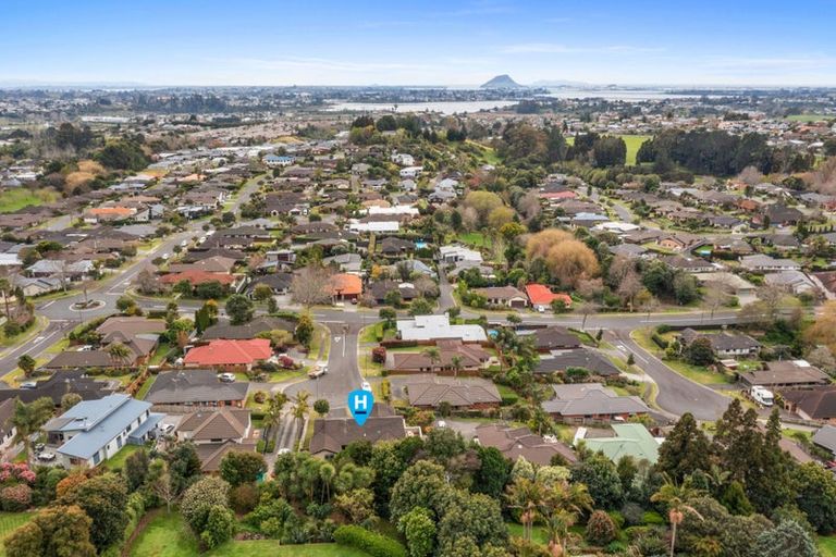 Photo of property in 19 Ashgrove Place, Ohauiti, Tauranga, 3112