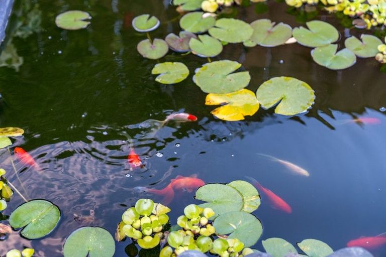 Photo of property in 38a Pokapu Street, Titirangi, Auckland, 0600