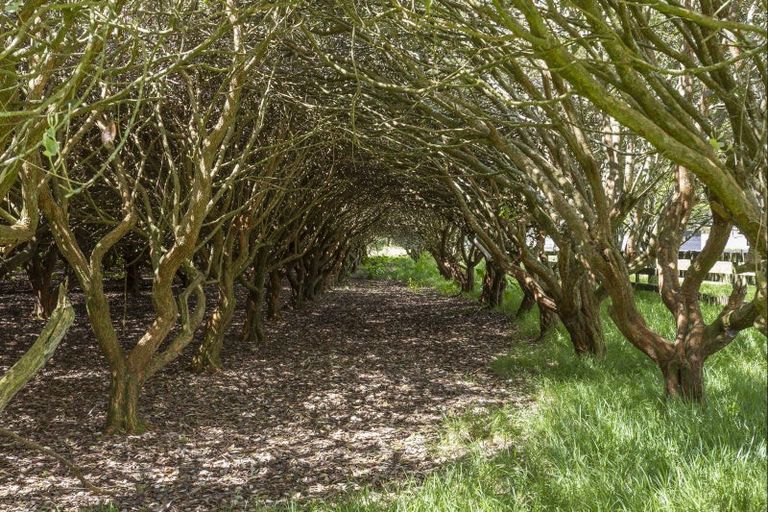 Photo of property in 314 Matangi Road, Matangi, Hamilton, 3284