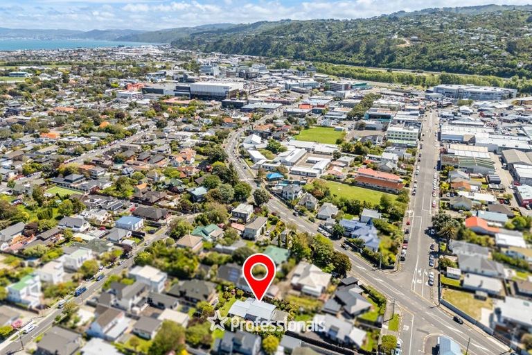 Photo of property in 48a Pretoria Street, Hutt Central, Lower Hutt, 5010