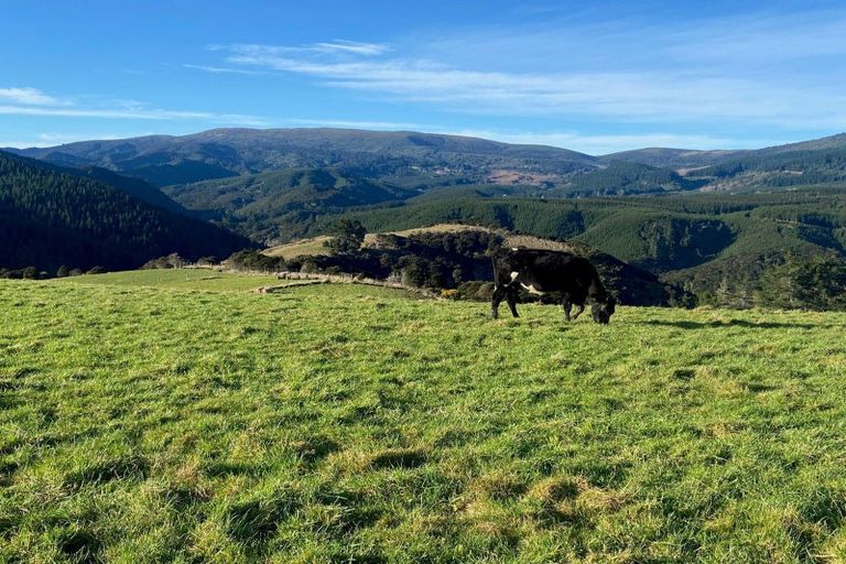 Photo of property in 121 Silverstream Valley Road, North Taieri, Mosgiel, 9092