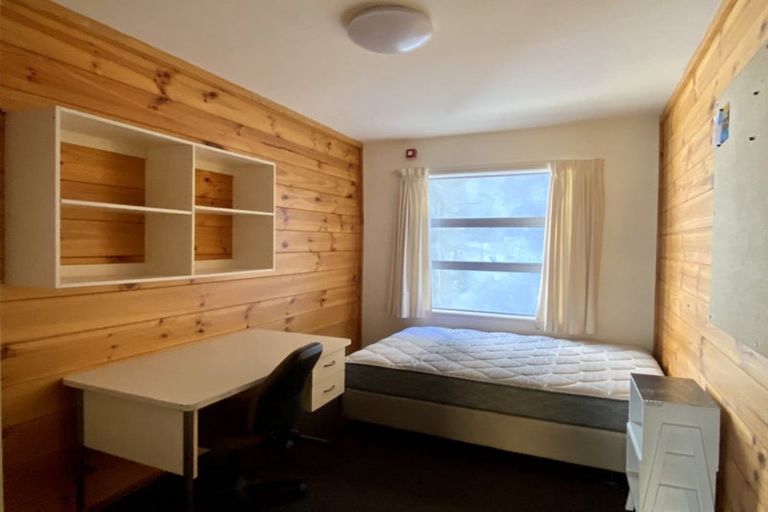 Photo of property in Drummond Street Flats, 19u1 Drummond Street, Mount Cook, Wellington, 6021