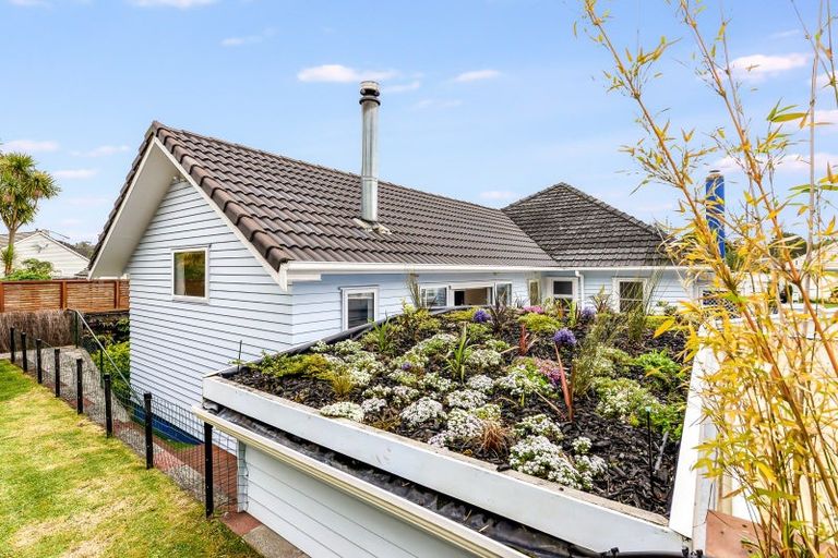 Photo of property in 18 Galway Avenue, Hamilton East, Hamilton, 3216