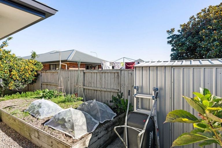 Photo of property in 11 Norfolk Drive, Cambridge, 3434