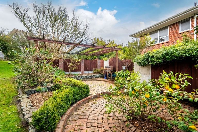 Photo of property in 14 Kiri Place, Mairangi Bay, Auckland, 0630