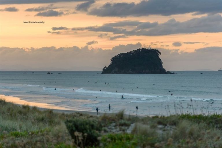 Photo of property in 1/44 Paterson Street, Mount Maunganui, 3116