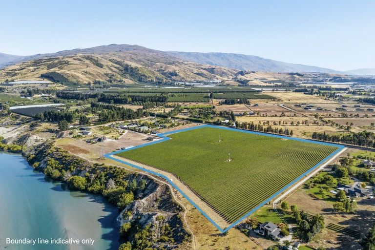 Photo of property in 160 Pearson Road, Cromwell, 9384