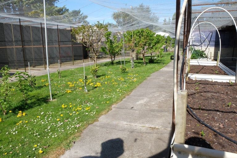 Photo of property in 245 Pukeuri-oamaru Road, Pukeuri, Oamaru, 9493