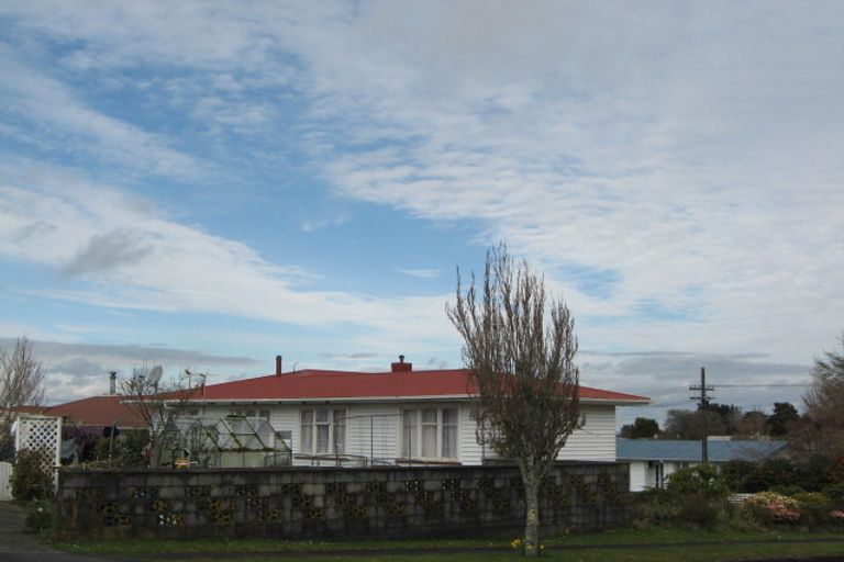 Photo of property in 22 Lysander Street, Stratford, 4332