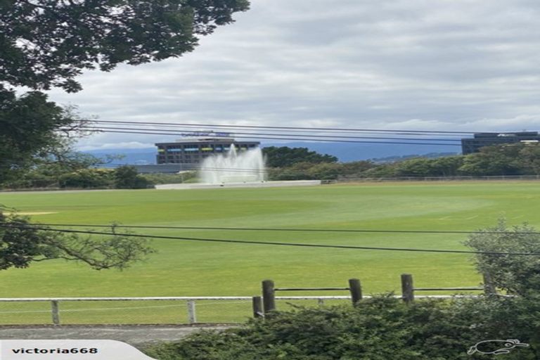 Photo of property in 84a Salamanca Road, Kelburn, Wellington, 6012