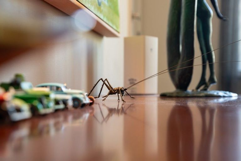 Photo of property in Broadwater Apartments, 214 Oriental Parade, Oriental Bay, Wellington, 6011