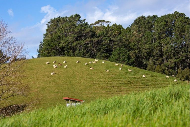 Photo of property in 82 Goatley Road, Warkworth, 0981