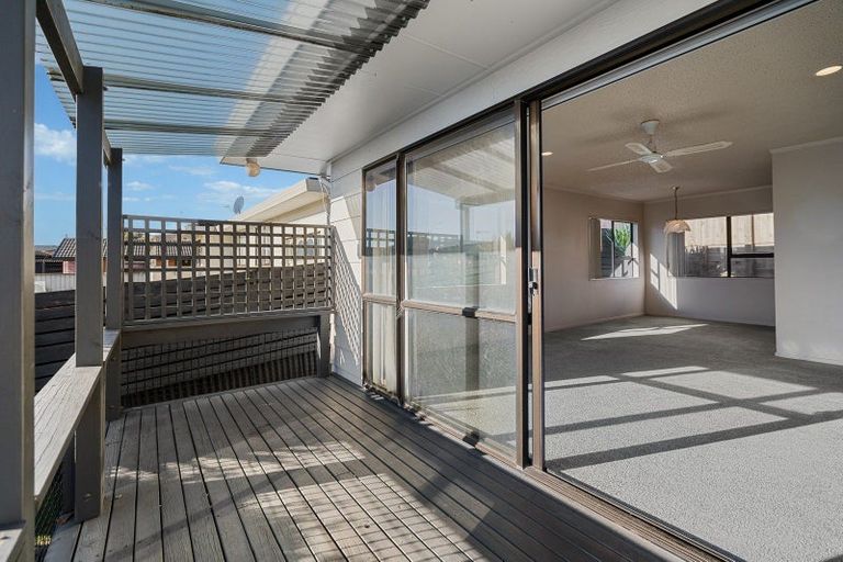 Photo of property in 1236a Cameron Road, Gate Pa, Tauranga, 3112