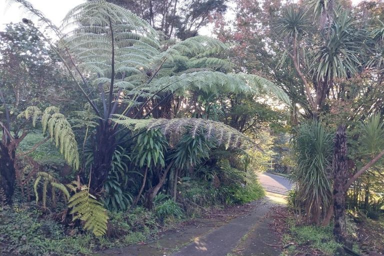 Photo of property in 84 Shetland Street, Glen Eden, Auckland, 0602