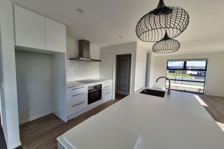 Photo of property in 19 Larch Drive, Rolleston, 7614