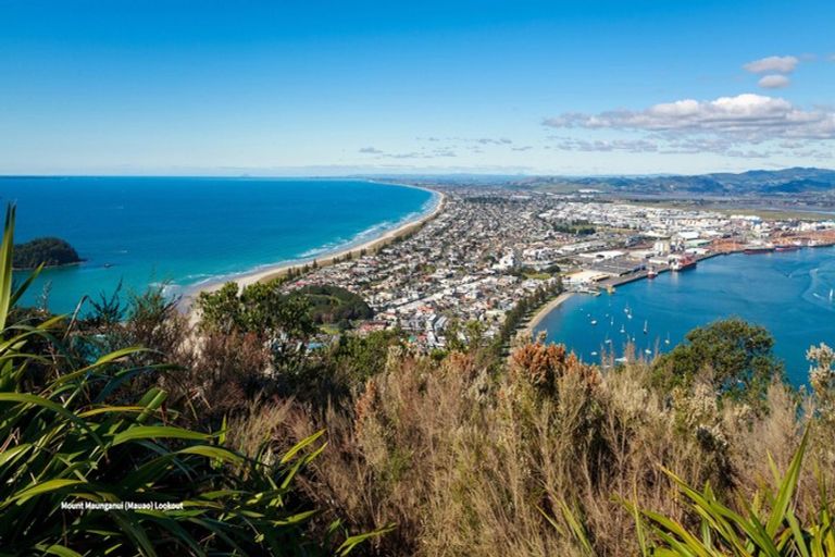 Photo of property in 3 Wells Avenue, Mount Maunganui, 3116