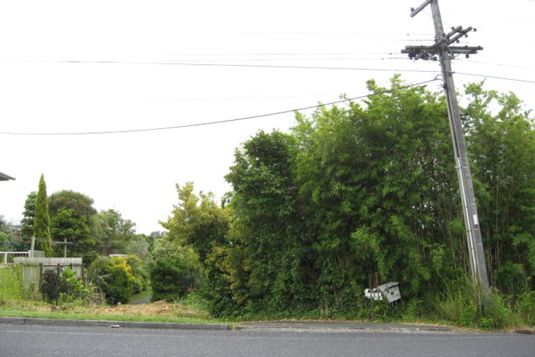 Photo of property in 49a Helvetia Road, Pukekohe, 2120