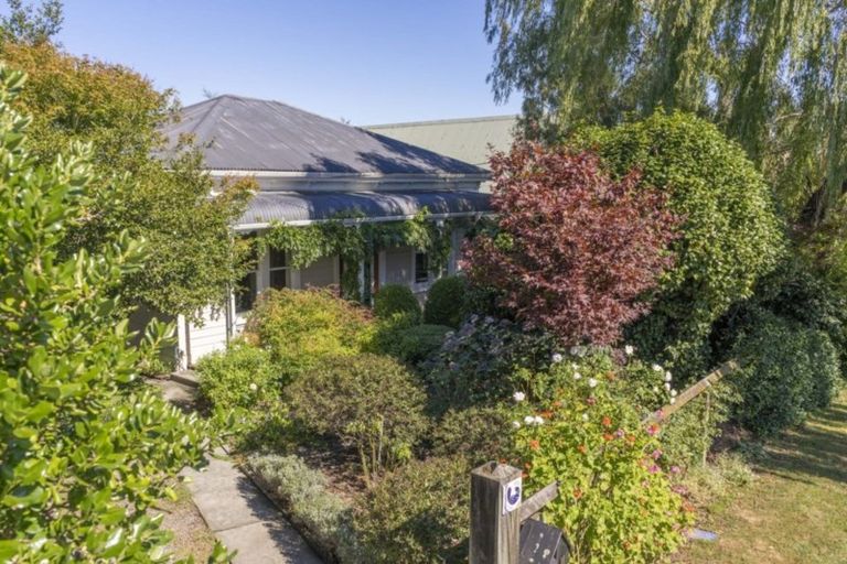 Photo of property in 10 Daniel Street, Martinborough, 5711