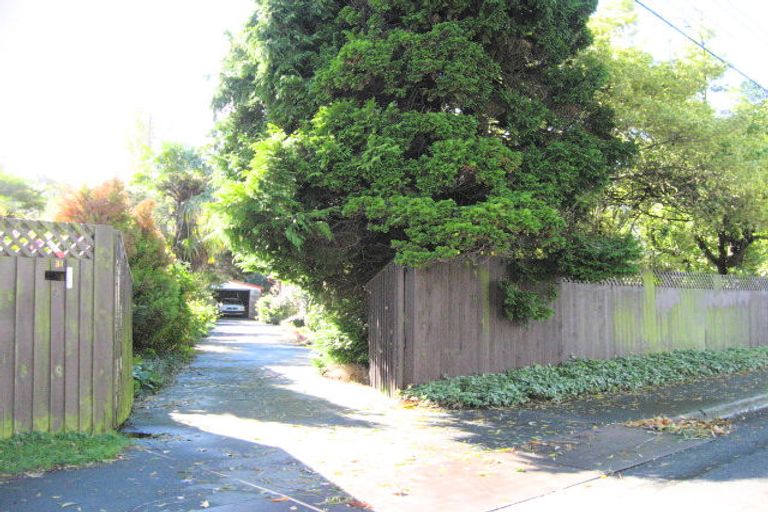 Photo of property in 31 Fifield Terrace, Waltham, Christchurch, 8023