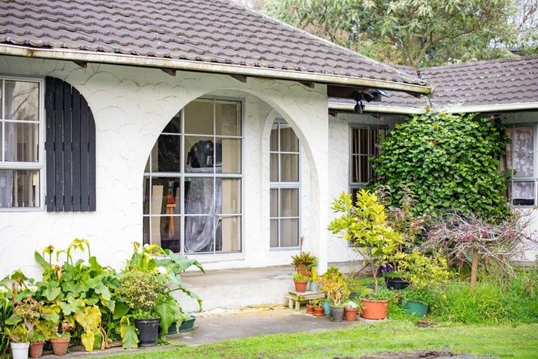Photo of property in 11 Hibiscus Avenue, Hamilton Lake, Hamilton, 3204
