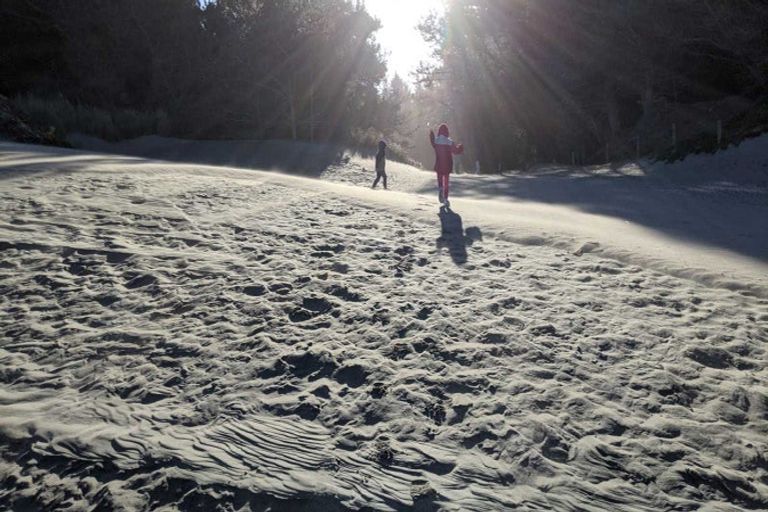 Photo of property in 43 Ranginui Drive, Kaiapoi, 7630