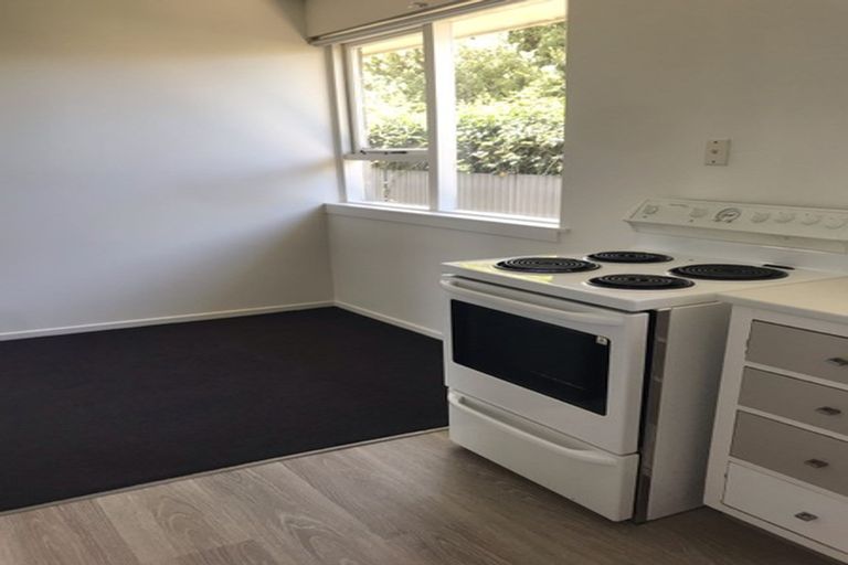 Photo of property in 5/102 Edward Avenue, Edgeware, Christchurch, 8013