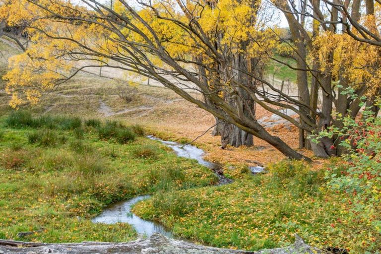 Photo of property in 192 Heaney Road, Cromwell, 9384