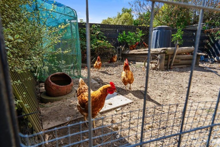 Photo of property in 6 Griffin Street, Richmond, 7020