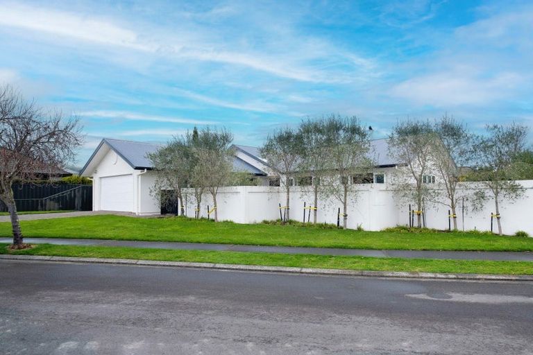 Photo of property in 55 Palmbrook Avenue, Havelock North, 4130