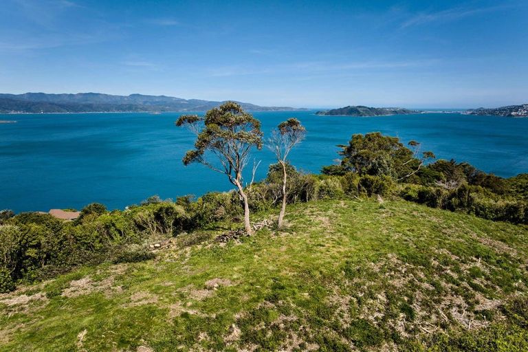 Photo of property in 50 Dungarvan Road, Newlands, Wellington, 6037