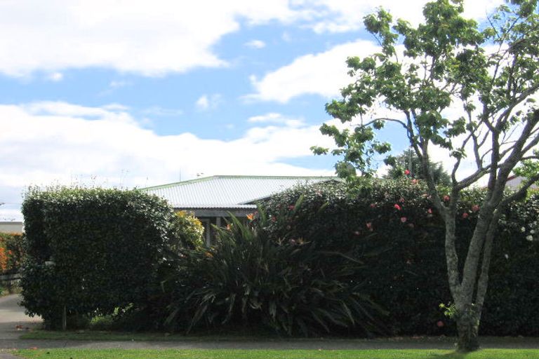 Photo of property in 140 Windsor Road, Bellevue, Tauranga, 3110