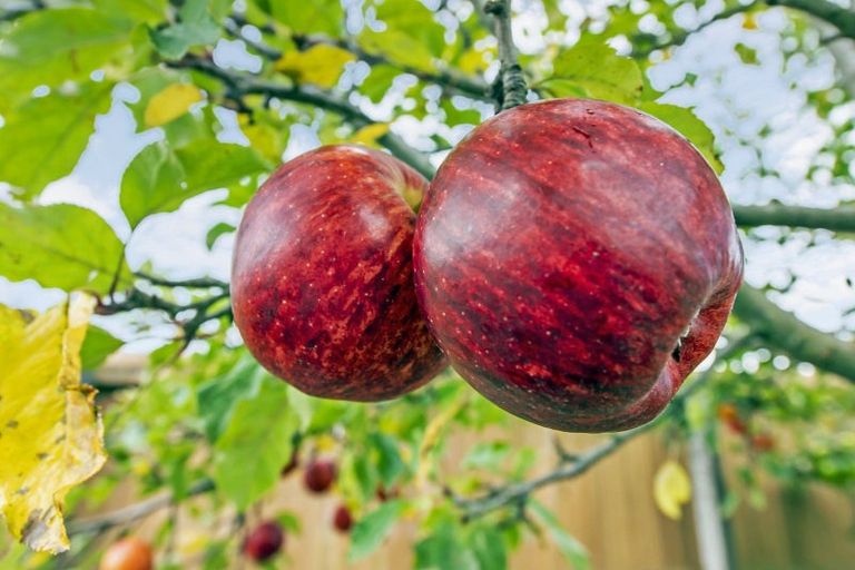 Photo of property in 12 Brookside Road, Rolleston, 7614